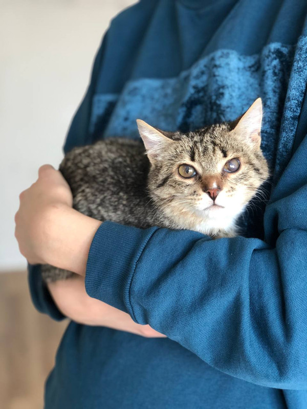 IMG_20240409_235157_557