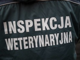Польские ветеринары протестуют
