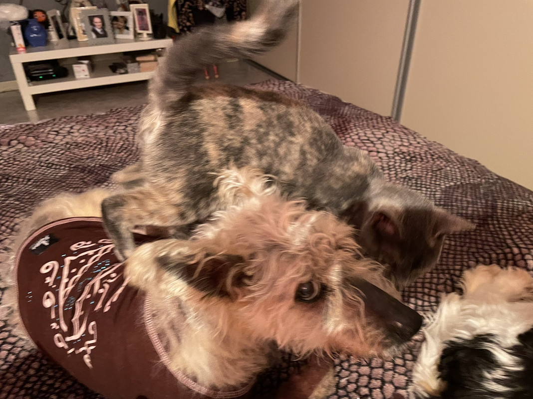 A5E20004-655B-4090-B9CD-28D93946C649