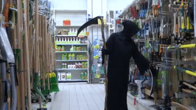 https://i.postimg.cc/mZJQd1R9/10.gif