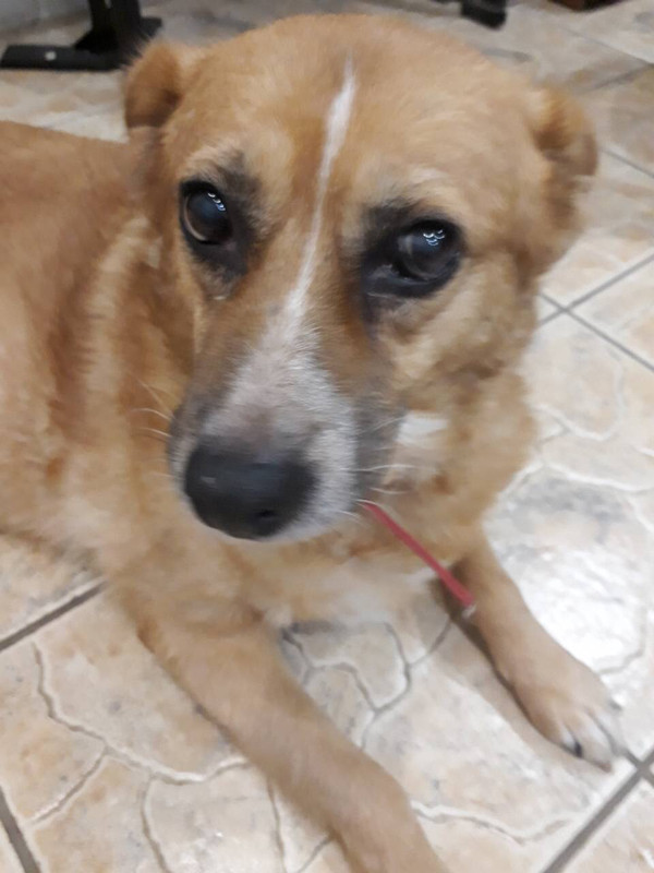 84EDA102-1683-4A16-A247-FFDB69D3F783