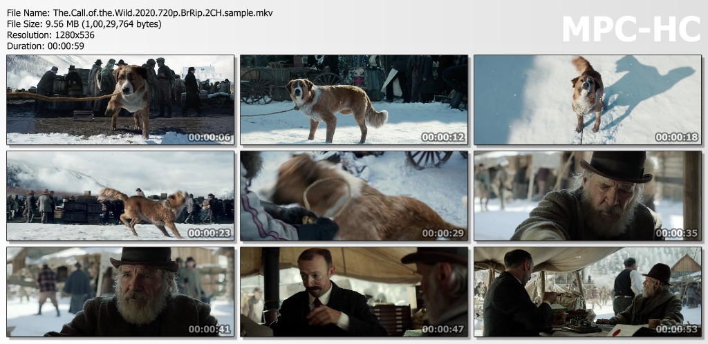 The.Call.of.the.Wild.2020.720p.BrRip.2CH.x265.HEVC-PSA