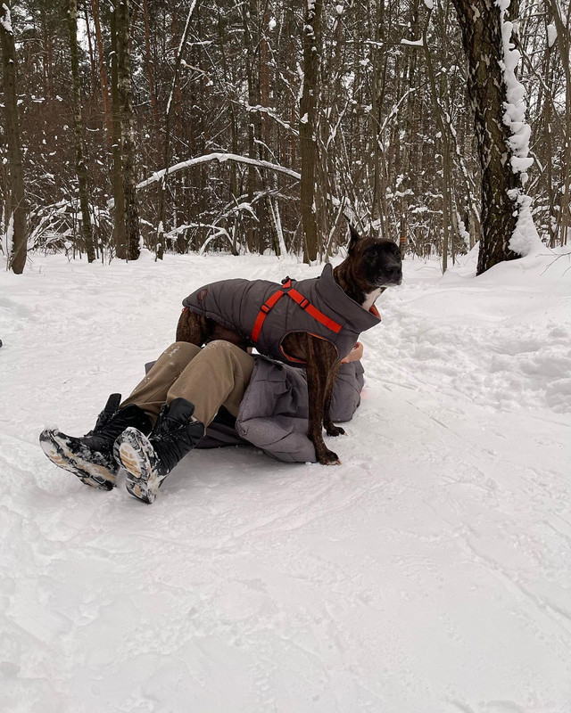 2E936AD5-D526-4E6F-9F90-47A36B9C9B69