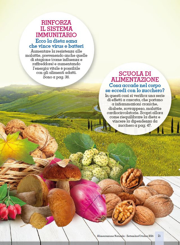 Alim Nat Set-Ott 2025 (2)