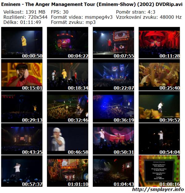 Eminem - The Anger Management Tour (Eminem-Show) (2002)