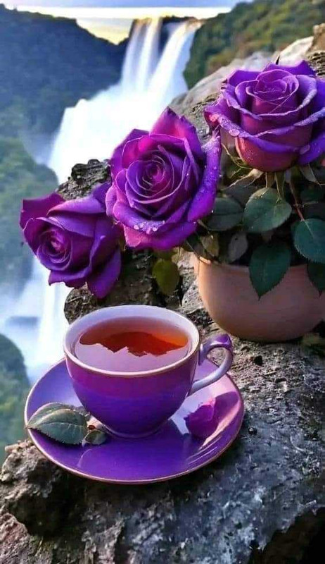 438204696_944716210720419_4403012143270729460_n