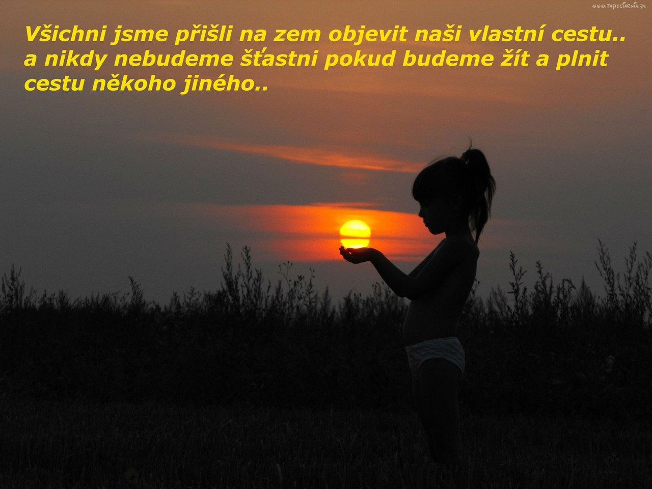 12593447 955608051184697 8507488566911086179 o