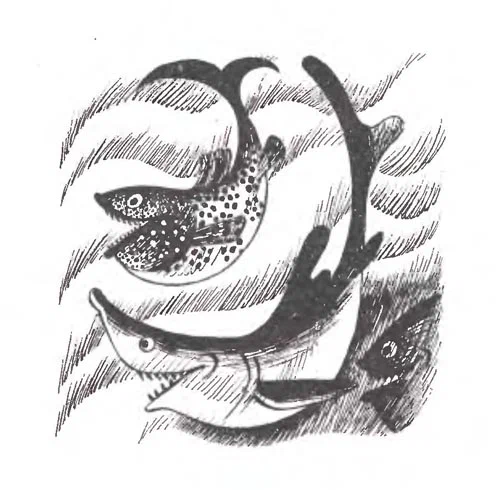 63