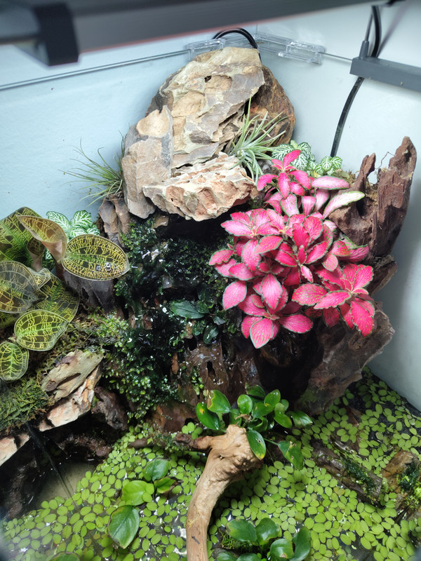 IMG_20241219_150544392