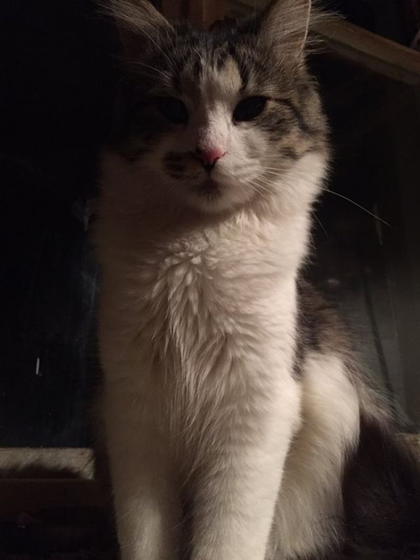 18A579AE-53A6-43ED-AED1-71A4734C841C