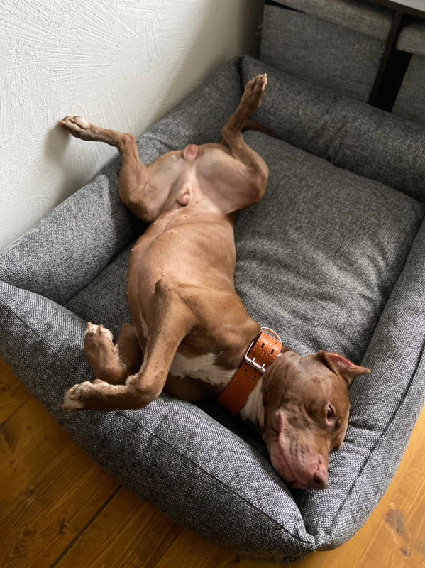 F4E70AFE-8D8D-4099-83B5-CA1556408E02