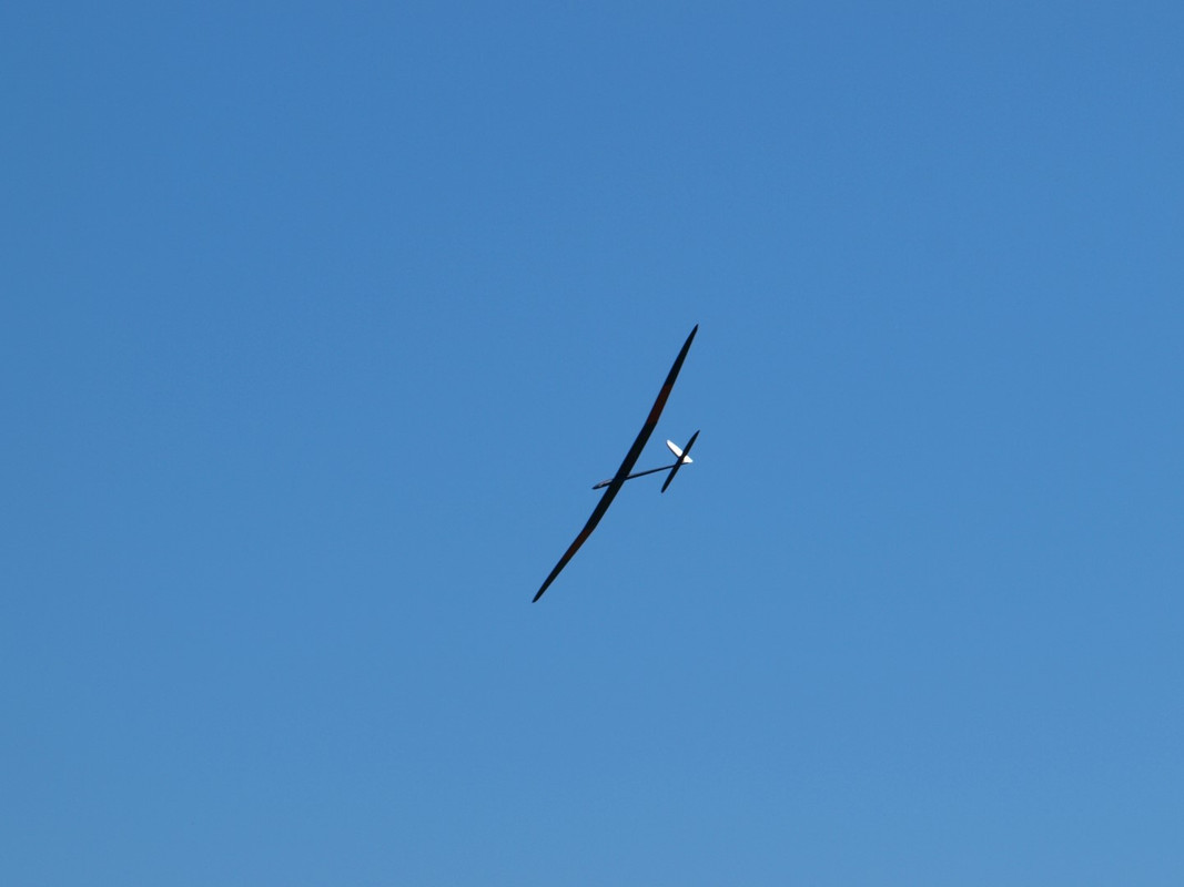GP215946 (Large)
