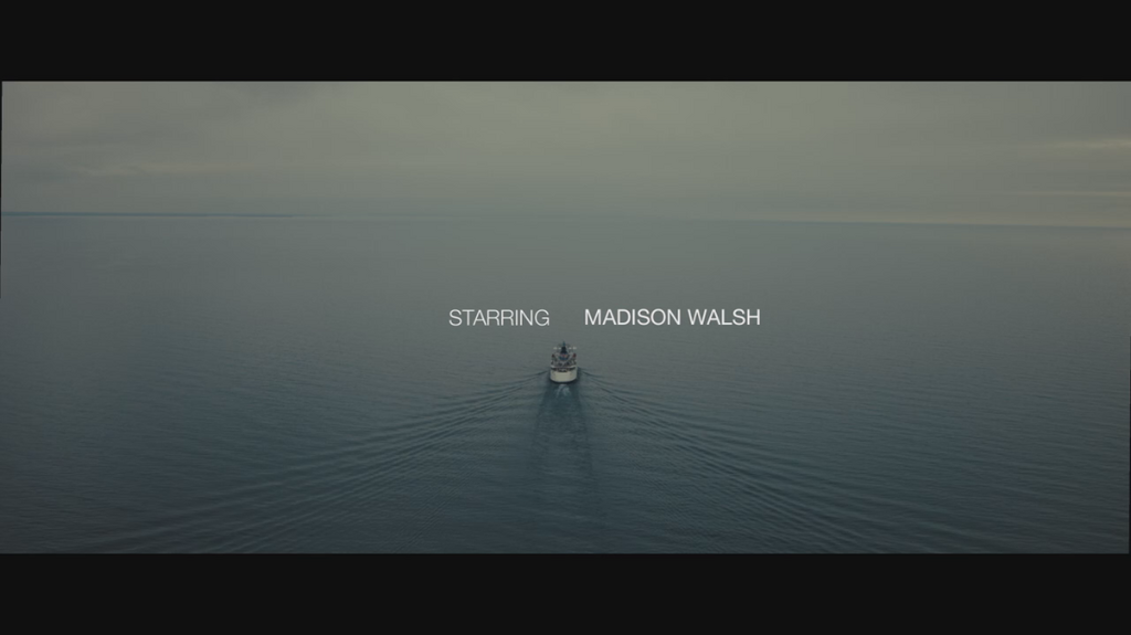 [Image: 82e9fb4emion.png]