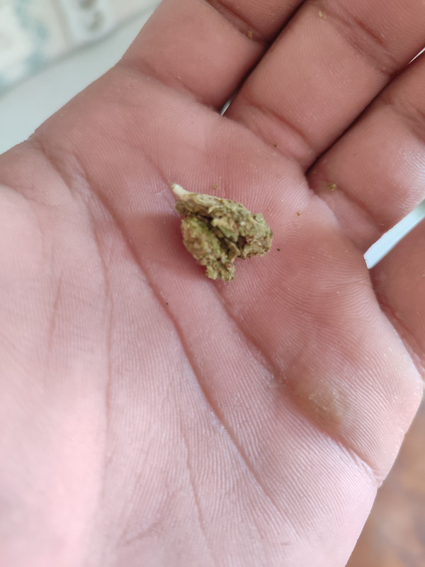 postimg.cc