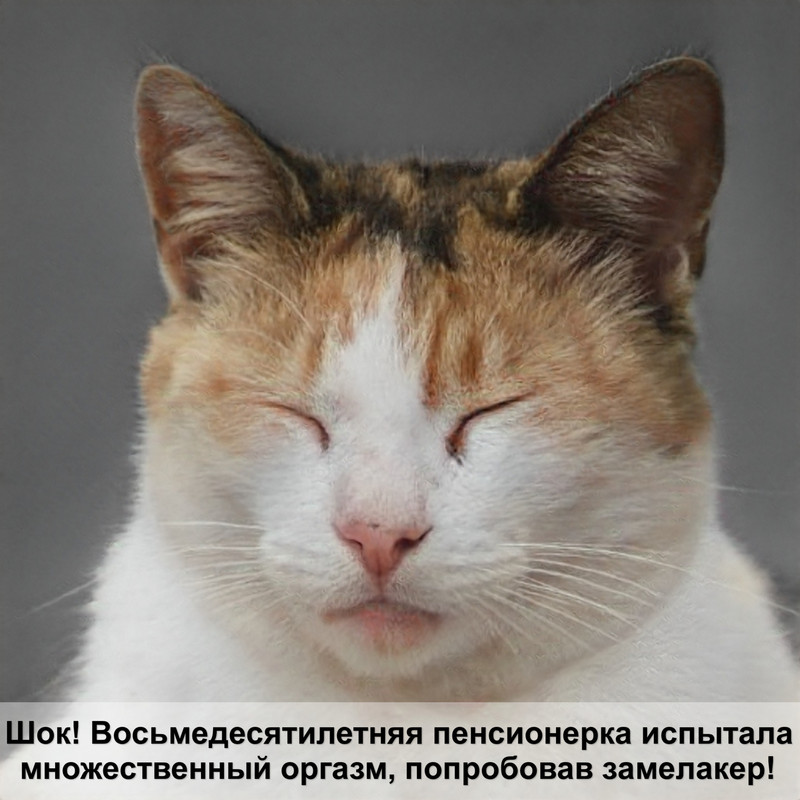 корм для кошек эукануба