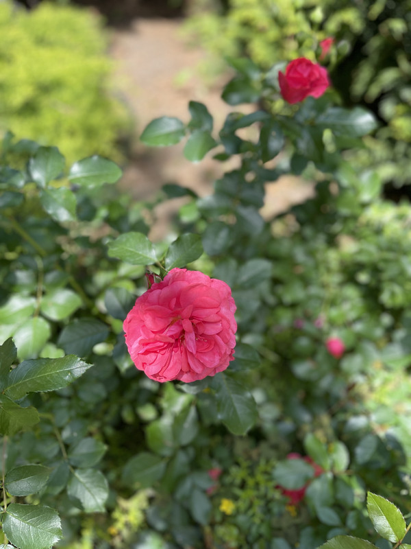 F06B8AF8-0289-420A-BA2F-1F9BD12FBA19