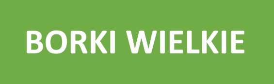 LZS BORKI WIELKIE logo