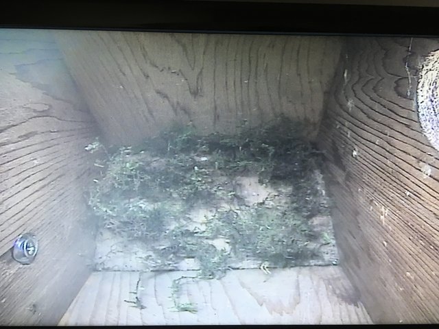 8DB6863B-66C4-47F7-82BC-D54C756795DA