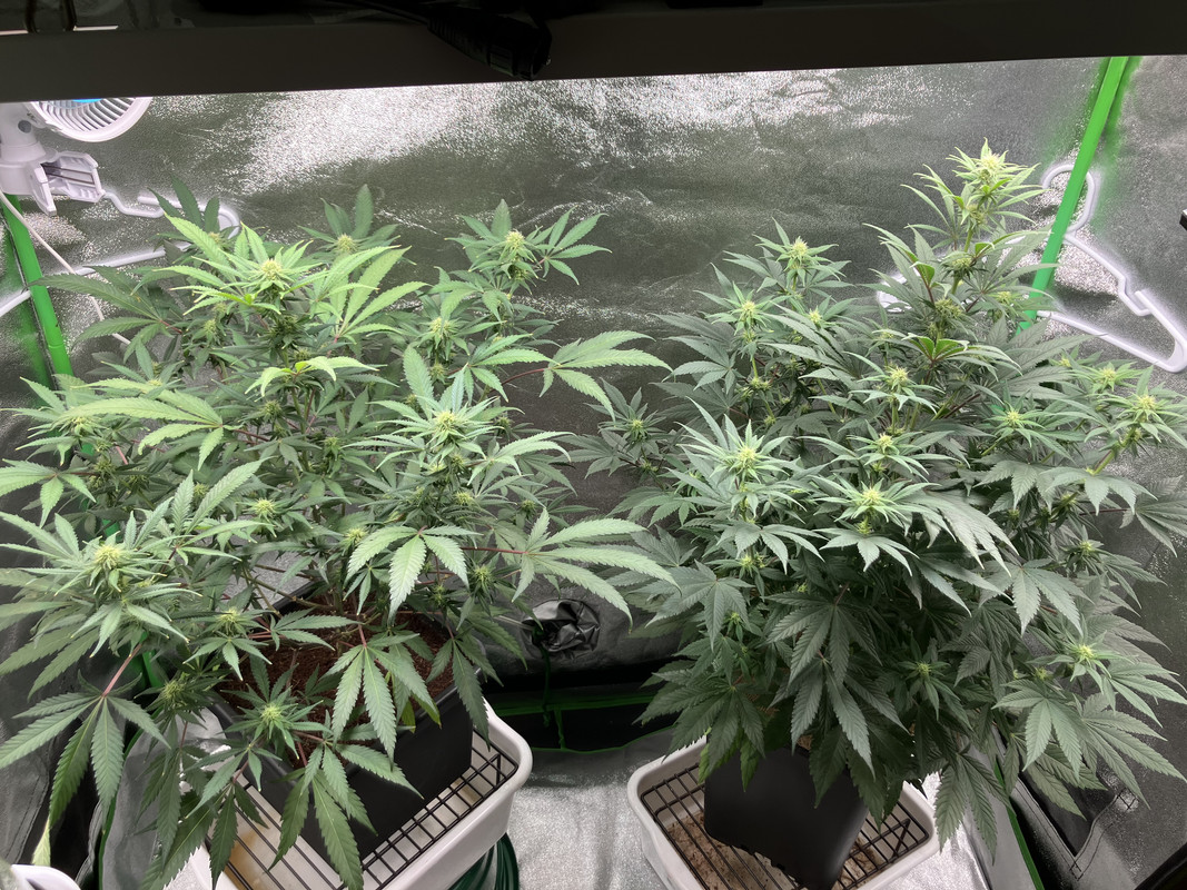 652D71AB-7FD4-4BD7-85D1-C4293A076CC3