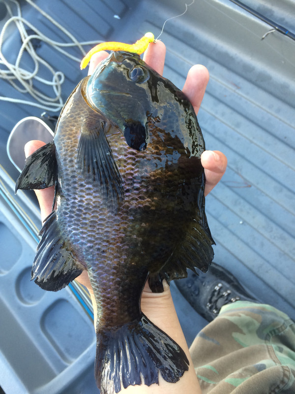 339290C3-4150-4592-909E-A731DE7915EA