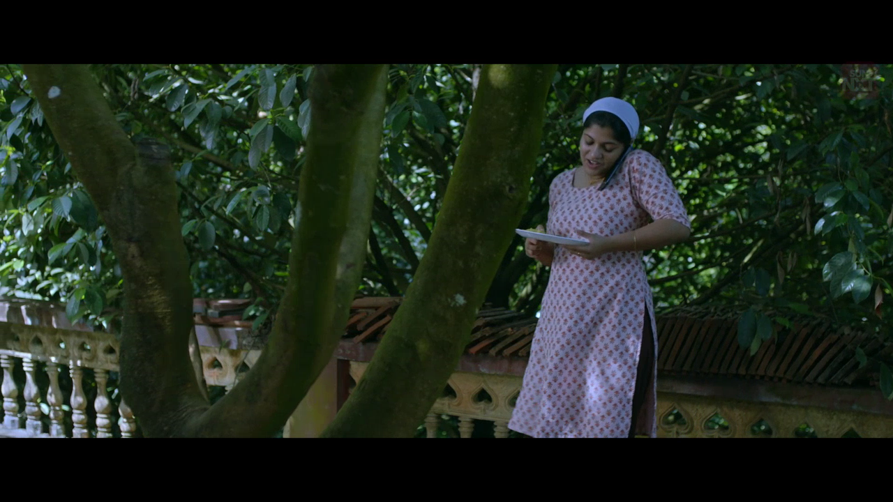 vlcsnap 2026 02 11 15h44m26s153