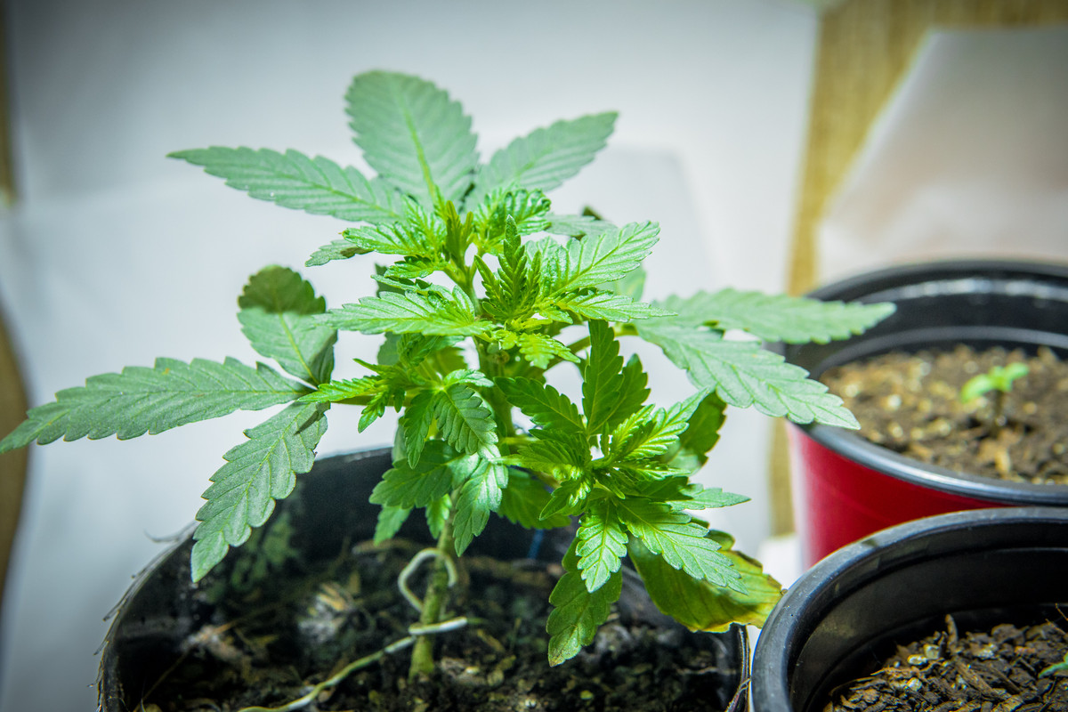 seguimientoindoor1.01 (12 de 13)