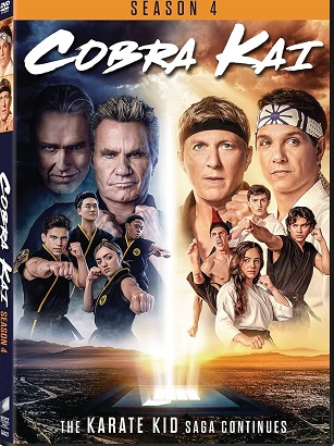 Cobra Kai - Stagione 4 (2021) (Completa) WEBRip 1080P HEVC ITA ENG DDP5.1 x265 mkv