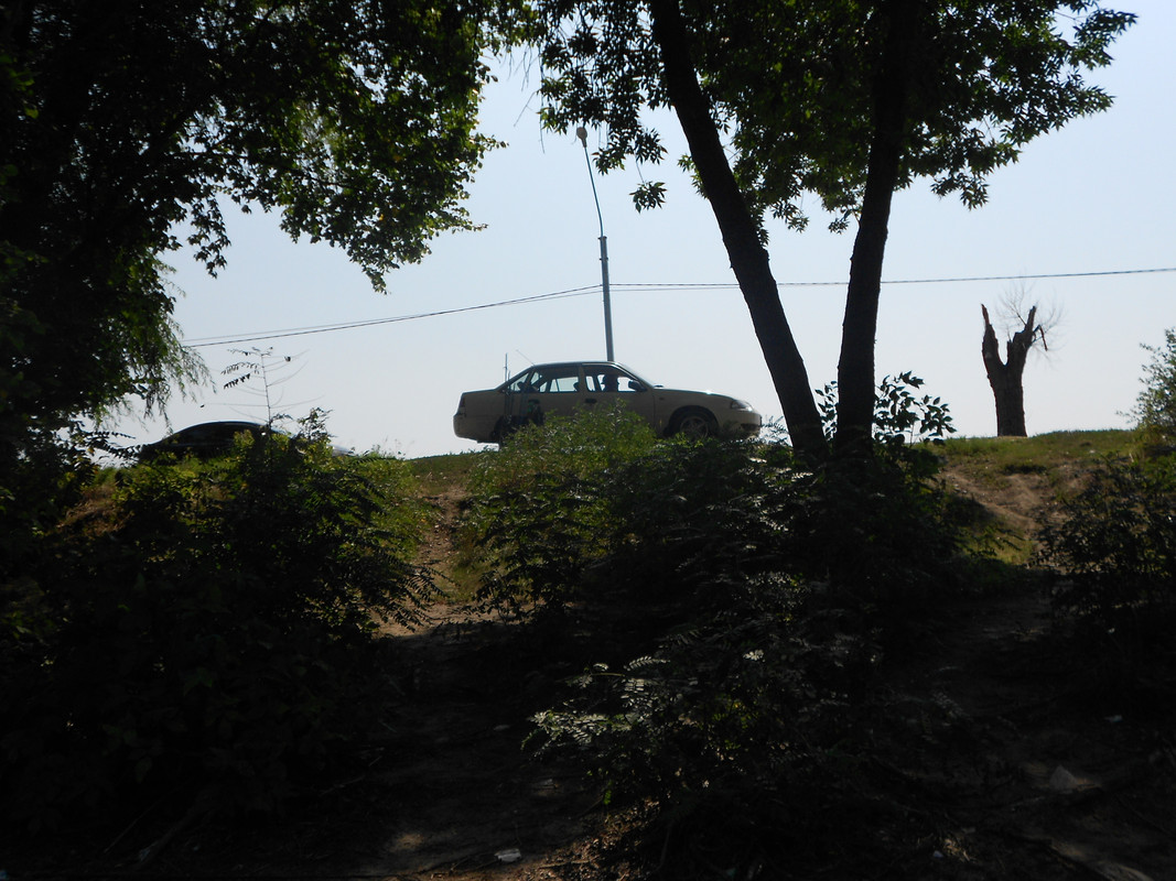 Дон 20.08.2019 008