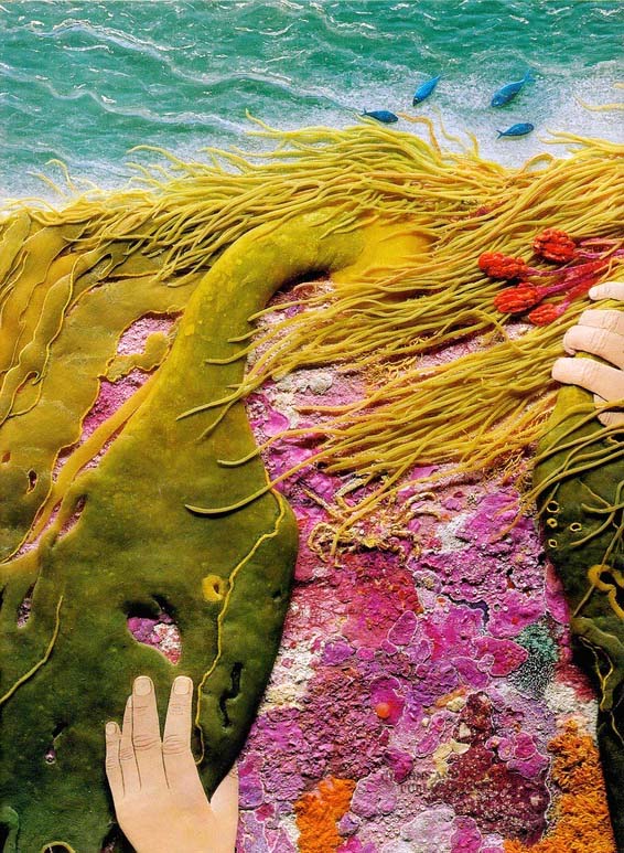 main-qimg-02537c54ecb1ceca0bd231055de62a87-c