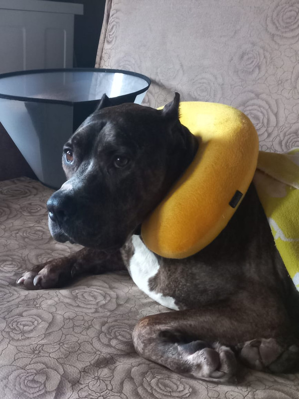 08DF31F0-59E3-41C5-B685-5A7D8BB0B38F