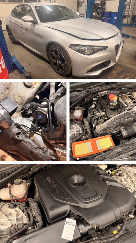 8E35C224 3707 4C49 A068 20A927B00378 COLLAGE