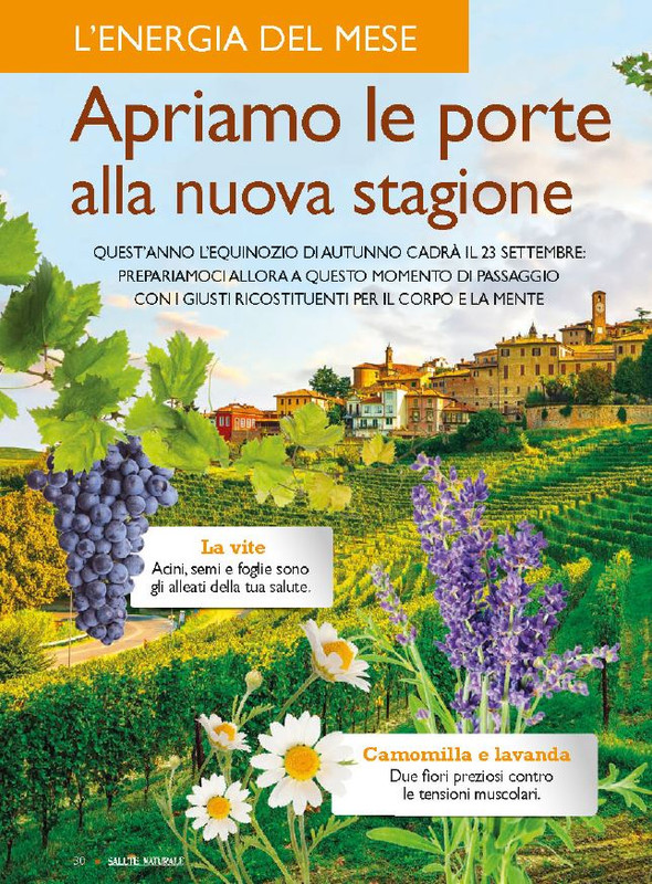 Sal Nat  Set 2023 (1)