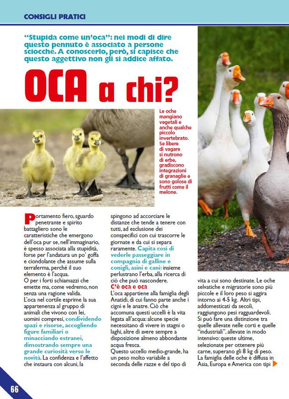 Foc Wil - Mar 2024 (11)