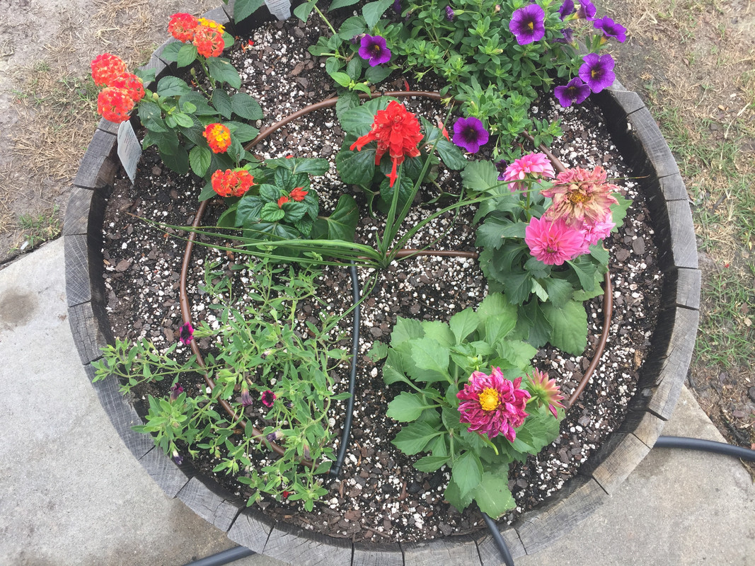 3E107790-8194-45A6-A22D-F5A29D2974B0