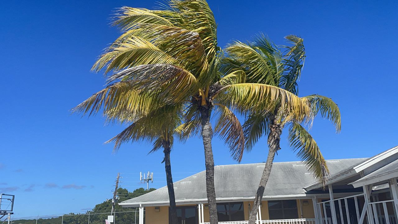 737B0380-F351-40C2-8A52-18033BB5AE87