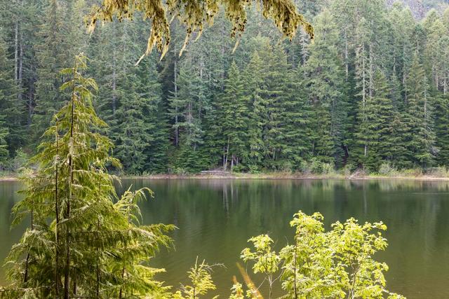 190531-Santiam-010.jpg
