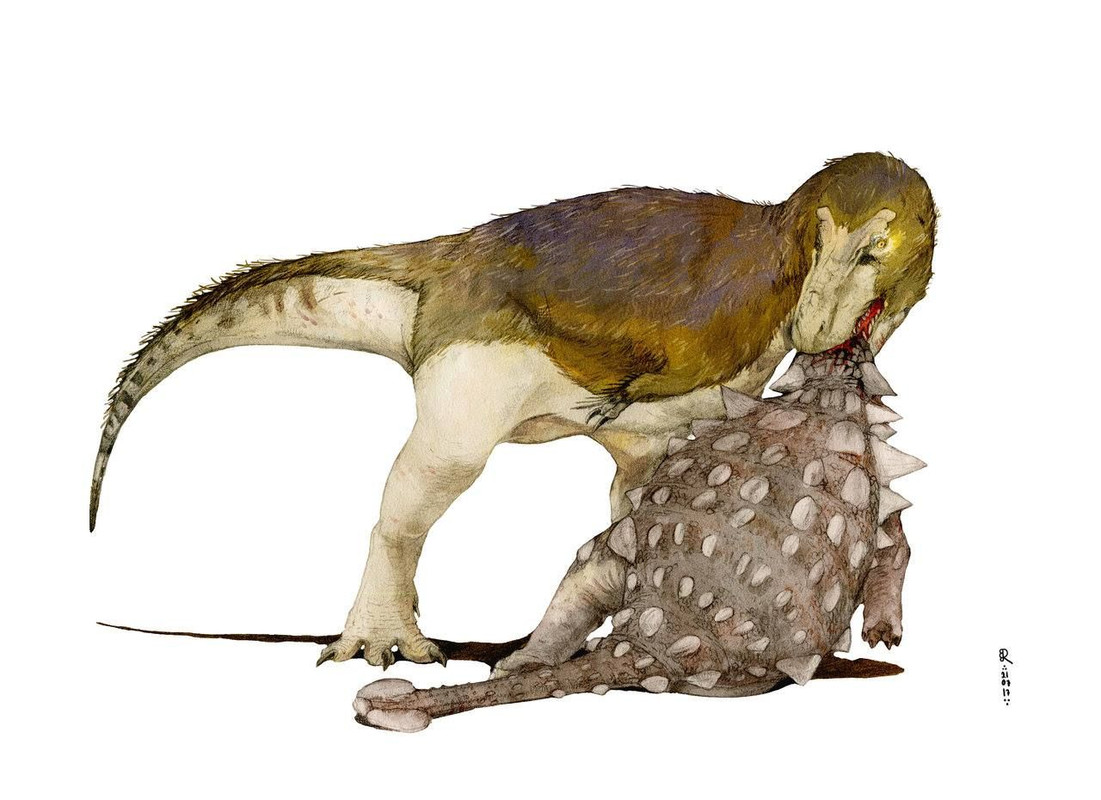 ab06401f71c94999e3c6b04ff9c39c13