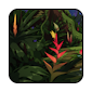 rainsong-II1.png