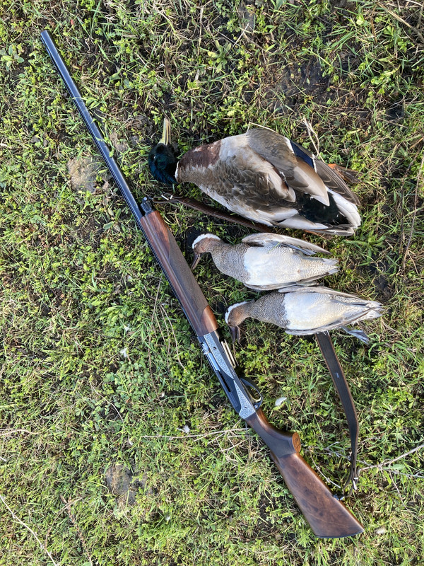 284C9699-36EA-4A5C-86B1-DAF2D713CD2C