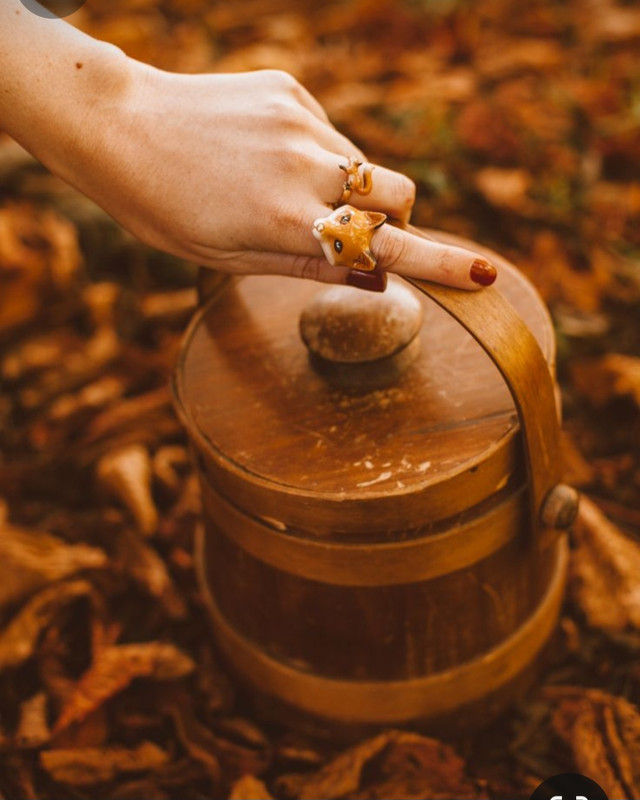 Screenshot_20231113_005951_Pinterest