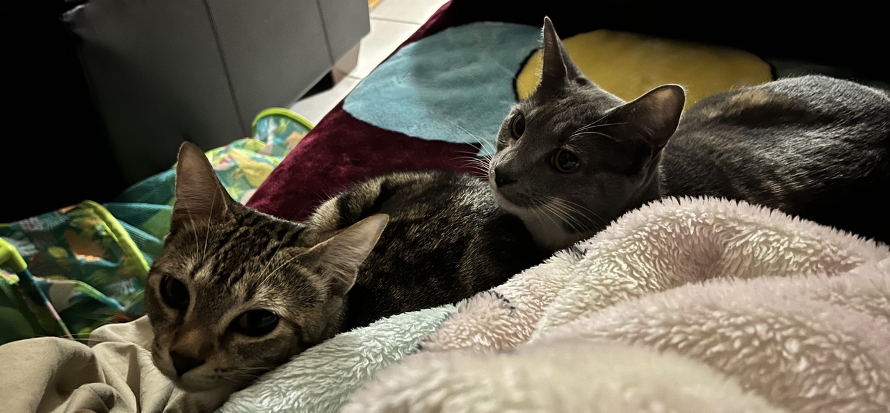 image 2026 01 21 141836892