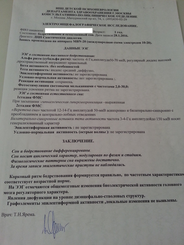 заключение 1 год