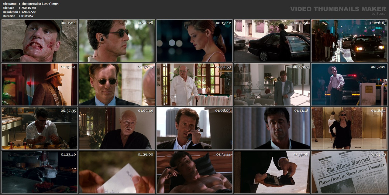 The Specialist (1994).mp4