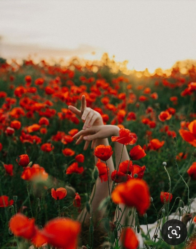 Screenshot_20231102_193728_Pinterest