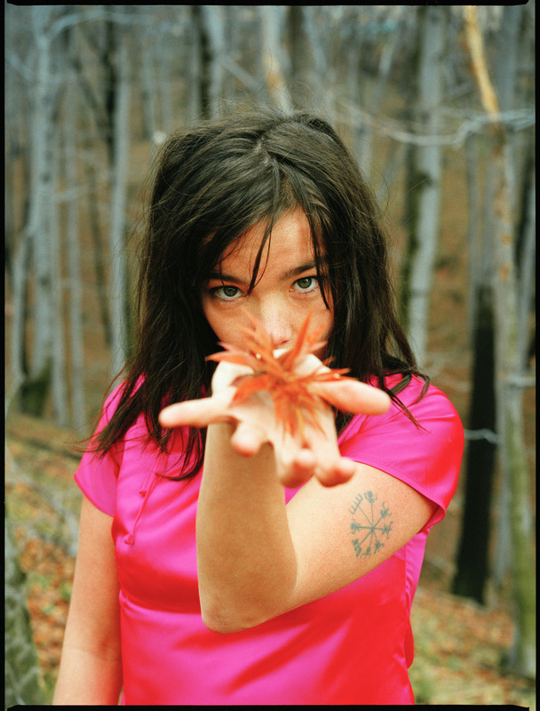 [Bild: bjork-1995-enver.jpg]