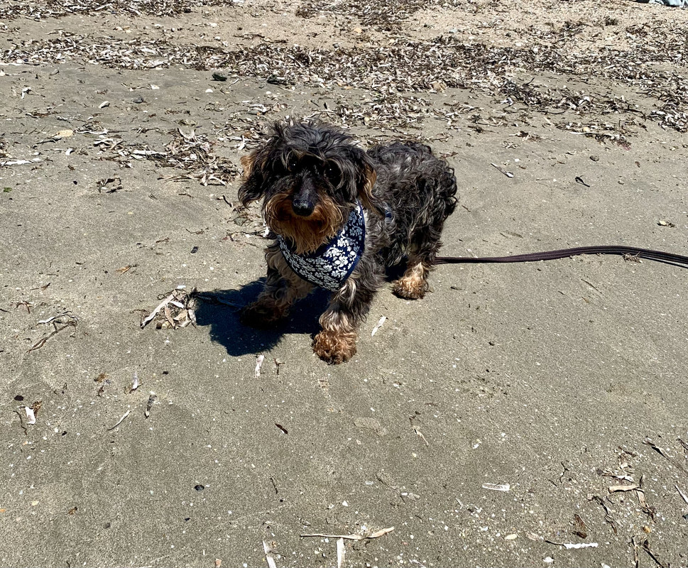 [Image: IMG-2876.jpg]