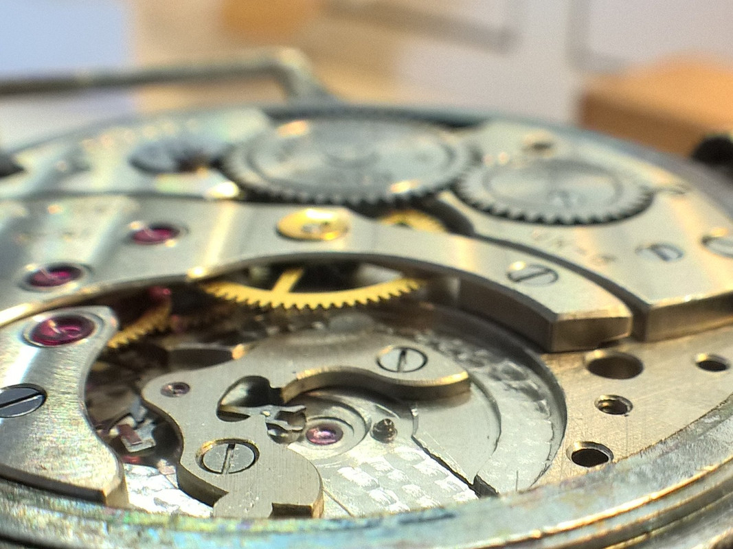 WP_20210623_15_25_31_Pro