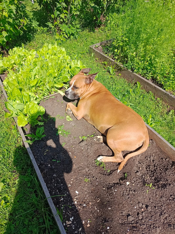 847F4AE5-53EC-4B5C-A725-684A8707FFD3