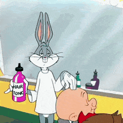 https://i.postimg.cc/mZQdHKJ3/6.gif