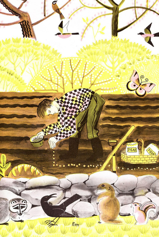 Hard_Scrabble_Harvest_0002